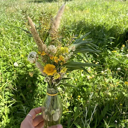 Casa Do Sol Wellness Willa Óbidos